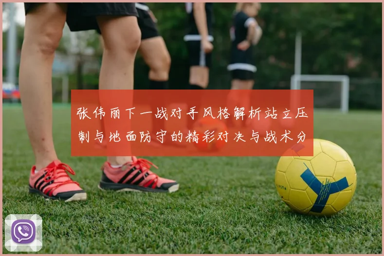 张伟丽下一战对手风格解析站立压制与地面防守的精彩对决与战术分析