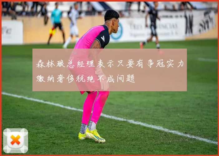 森林狼总经理表示只要有争冠实力缴纳奢侈税绝不成问题